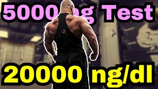 The Road to 20000 ngdl and 5g of Testosterone  Next Cycle Outline [upl. by Atnod14]