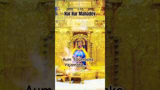 Aum Triambake yajamahe youtubeshortsmahakal bhaktisongsshortsvideoshorts trendingviralvideo [upl. by Rialc]