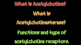 What is Acetylcholine What is Acetylcholinesterase functions and type of acetylcholine receptors [upl. by Nnairac]