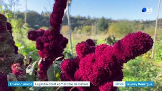 REPORTAGE CAHORS JARDIN COMESTIBLE [upl. by Nyliahs]