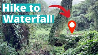 How to HIKE to MANOA FALLS 120ft waterfall  OAHU [upl. by Hovey]