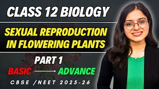 Sexual Reproduction in Flowering Plants  Class 12 Biology Chapter 1 One Shot Part 1  CBSE  NEET [upl. by Ariaec997]