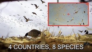 Best Hunting Videos 2018  Filmed with ShotKam  Gun Camera [upl. by Norven225]