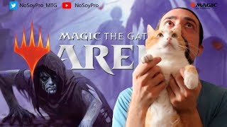 NSP MTG Arena  Cómo exportar e importar barajas [upl. by Hindorff]