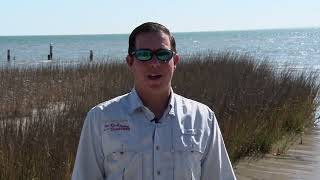 Texas Fishing Tips Fishing Report 61324 Baffin Bay Area With CaptGrant Coppin [upl. by Meehsar253]