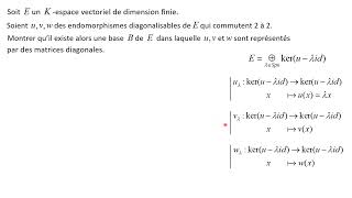 Diagonalisation simultanée pr une famille  infinie  dendo diagonalisables qui commutent 2 à 2 [upl. by Raimund]