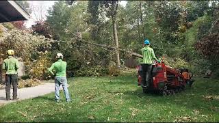 Tree removal asheville [upl. by Oribella]