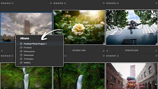 Simplify Your Photo Organizing with Target Albums [upl. by Riki]