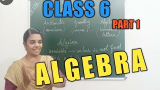 CLASS 6 MATHS ALGEBRA  PART 1  INTRODUCTION [upl. by Adohr]