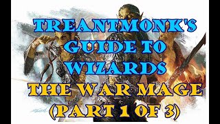 The Warmage A Treantmonk Guide Part 1 of 3 [upl. by Tybalt]