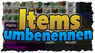 Items umbennen und Beschreibungen hinzufügen  Tutorial  Benutzerdefinierte Items [upl. by Topliffe]