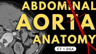 Abdominal Aorta and Branches  Radiology anatomy part 1 prep  How to read CTA  DSA [upl. by Huey574]