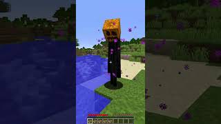 Friendly Enderman vs Pumpkin Feature shorts minecraft meme [upl. by Wichman]