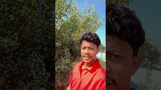 Aamak bapla re santali short trending reels video song youtube Dinesh tudu song [upl. by Hazlip722]