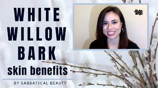 WHITE WILLOW BARK BENEFITS  NO MORE CONGESTED SKIN W SALICIN [upl. by Boggers13]