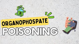 Organophosphate poisoning signs Pathophysiology diagnosis and Treatment [upl. by Ahsinnor]