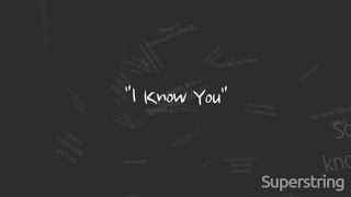 Skylar Grey  I Know You Lyrics [upl. by Garrard]