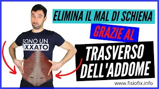 Trasverso delladdome  Il muscolo che elimina il mal di schiena [upl. by Holmun598]