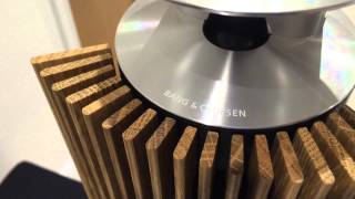 The Perfect HiFi Home Audio System Bang and Olufsen BEOLAB 28 Review [upl. by Alyaj]