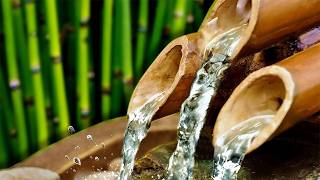 BAMBOO WATER FOUNTAIN  Relax amp Get Your Zen On  White Noise [upl. by Assirahs902]