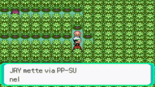 Pokemon SmeraldoParte 21Evoluzioni su evoluzioni [upl. by Nnaira]