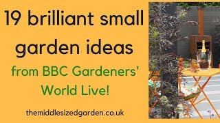 19 brilliant small garden ideas from BBC Gardeners World Live [upl. by Mutz]