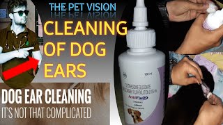 how to clean ear of dog   Ambiflush liquid  Prevents from ear infections  by Sahil Malik vet [upl. by Heinrik]