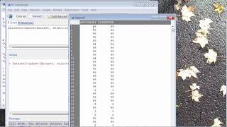R Commander  Create a Subset of a Data Set [upl. by Eadas]