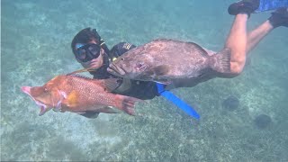 BACKCOUNTRY SPEARFISHING FL KEYS CATCH amp COOK [upl. by Nirrek]