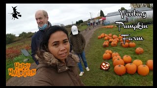 Pumpkin Farm in Stourport on Severn Habberley ValleyJovie Catempo [upl. by Pirnot]