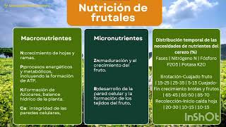 Prácticas para favorecer el crecimiento y madurez de frutos caducifolios  Producción de frutales [upl. by Assilam206]