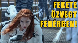 Fekete Özvegy Röviden [upl. by Aelyk811]