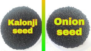 Difference of Onion Seed and KalonjiNigalla Seeds UrduHindi [upl. by Kelleher]