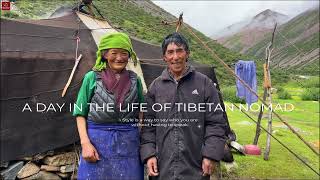 Daily Life of a Tibetan Nomad Family Living in Altitude of 4800 Meters How is Their Daily Life [upl. by Grania952]