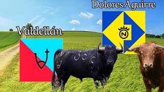 Toros de Valdellán e Dolores Aguirre  VicFezensac [upl. by Eirek]