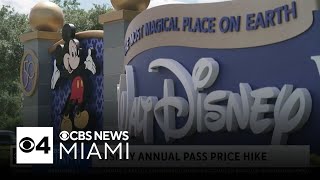 Disney World hikes up price on annual pass [upl. by Ahseikram]