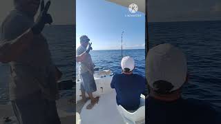 sailfish catch and release [upl. by Haliek]