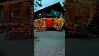 happyhalloween pumkins cabinhouse cabin coupeville washington [upl. by Iohk544]