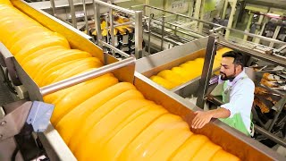 Cheese production process and interesting facts about it  LV Satisfying [upl. by Sherrer506]