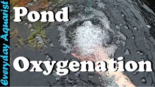 How To Aerate amp Oxygenate Your Pond [upl. by Miuqaoj]