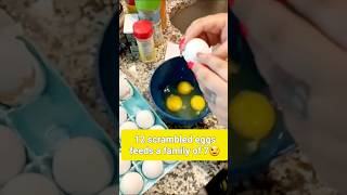 Watch me crack eggs for my family of 7 😉 subscribe food egg breakfast [upl. by Etheline678]