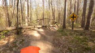 Michigan M20 Trail Loop with Brian Ed Hall [upl. by Mazonson]