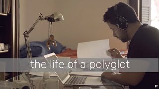 The Life of a Polyglot [upl. by Ttimme]