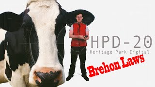 Irelands Brehon Laws  HPD20 Episode 6 [upl. by Arries342]