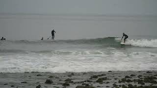 Surfer at Topanga Beach CA [upl. by Ilojne]