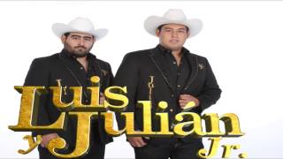 Anda Borracho el Pelao Luis y Julián Jr en Vivo [upl. by Eiramnna]