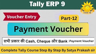 Payment Voucher entry in Tally  Accounting Voucher in Tally Erp9 Part12 Tally Erp 9 by Satya Sir [upl. by Eolc376]