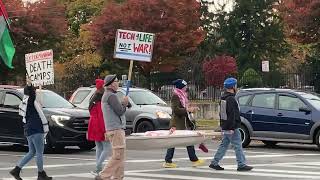 Palestine Solidarity at Mt Hope and Elmwood [upl. by Armat]