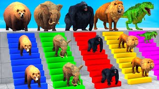 Cow Elephant Tiger Gorilla Hippo 3d Animal Long Slide Game Funny 3d Paint Animals Cage Game [upl. by Boni293]