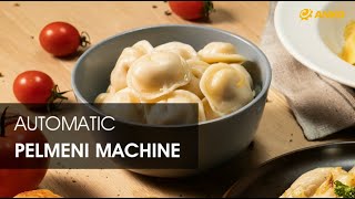 ANKO Automatic Pelmeni Machine [upl. by Suivatra542]